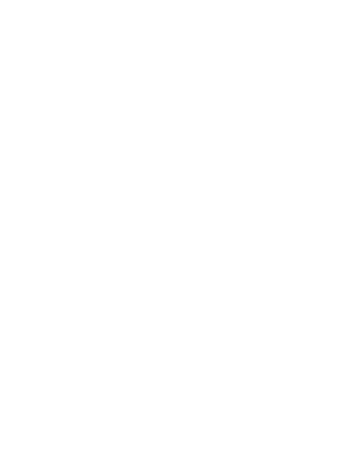 Parietti